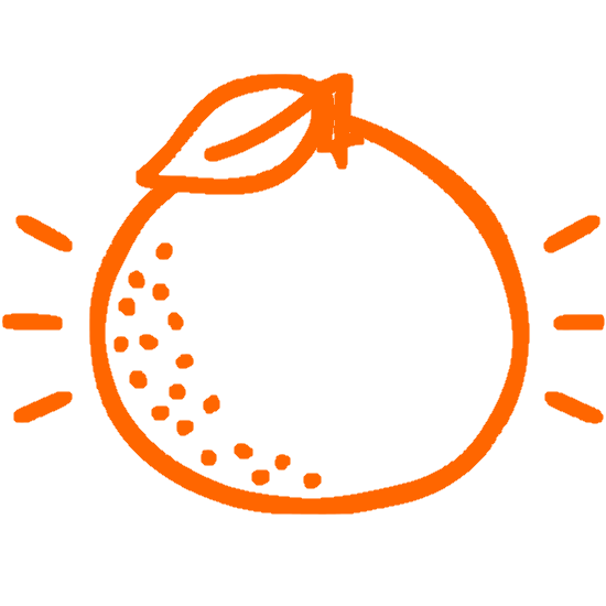 orange-clementine-icon